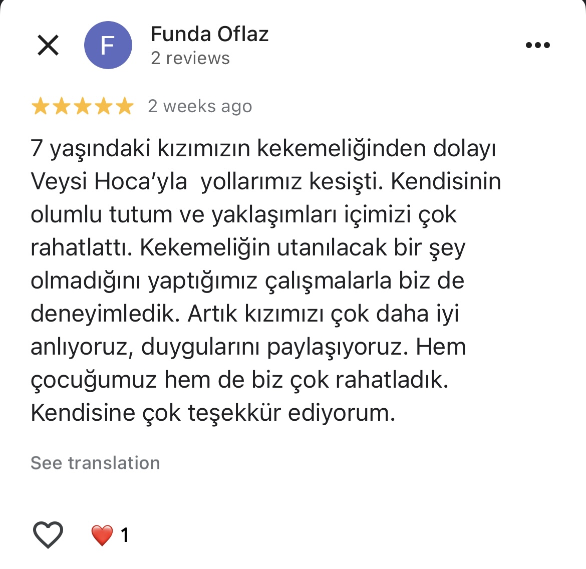 Google Review 2